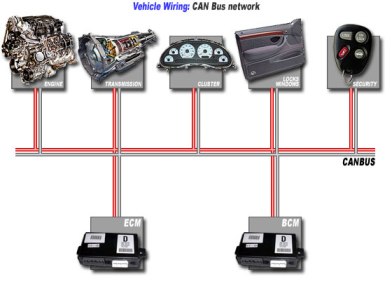 CANBus Network Diagram