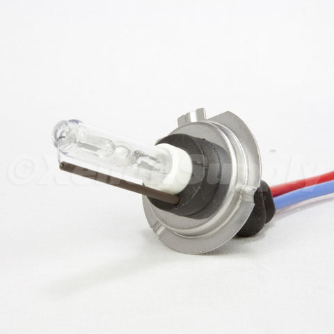 H7 HID Xenon Replacement Bulbs